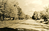 Miscellaneous To 1939: Drive Near Gaylord